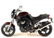 Yamaha BT1100 Bulldog Yamaha BT1100 Bulldog